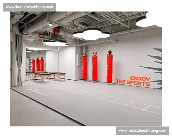 体育APP官方版本全新升级权威赛事数据与智能训练体验平台服务